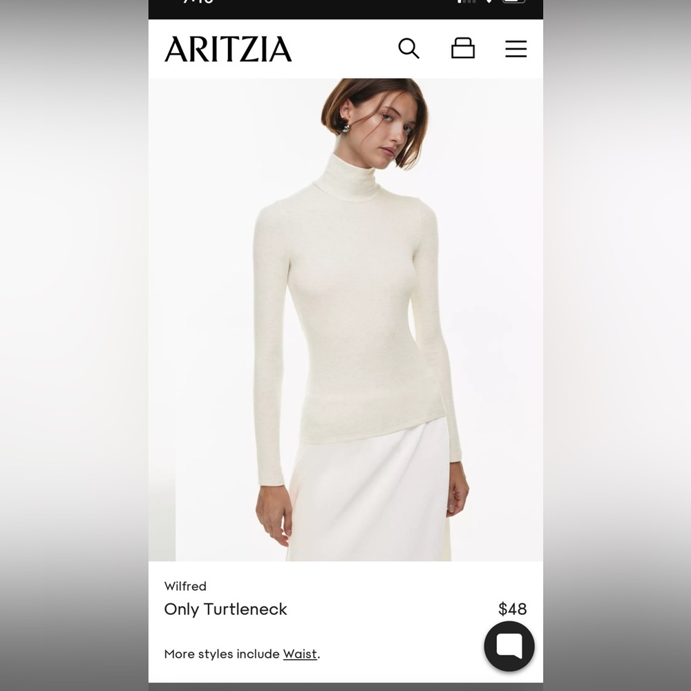 Aritzia Wilfred ONLY turtle neck
